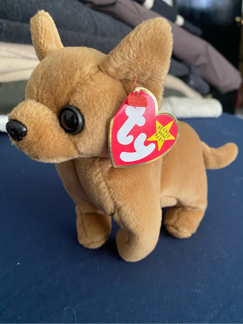 Rare Date Error Mismatched Tags Ty “Tiny” Brown Plush Chihuahua Beanie Baby